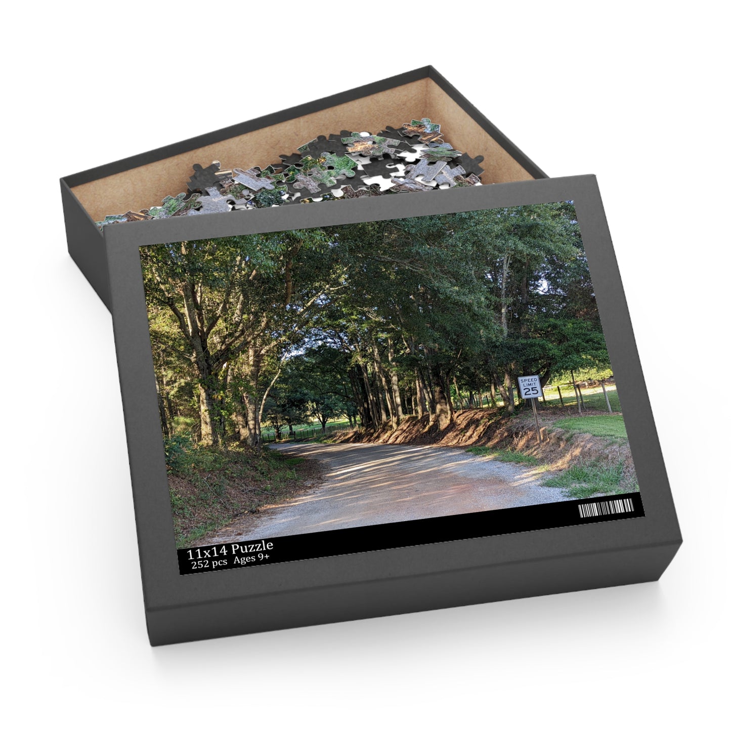 Monroe GA Puzzle August -  252 or 500 Piece