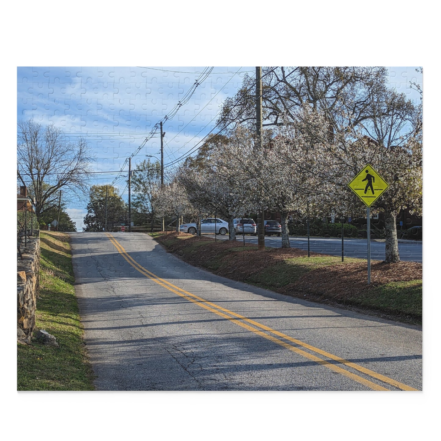 Monroe GA Puzzle March -  252 or 500 Piece