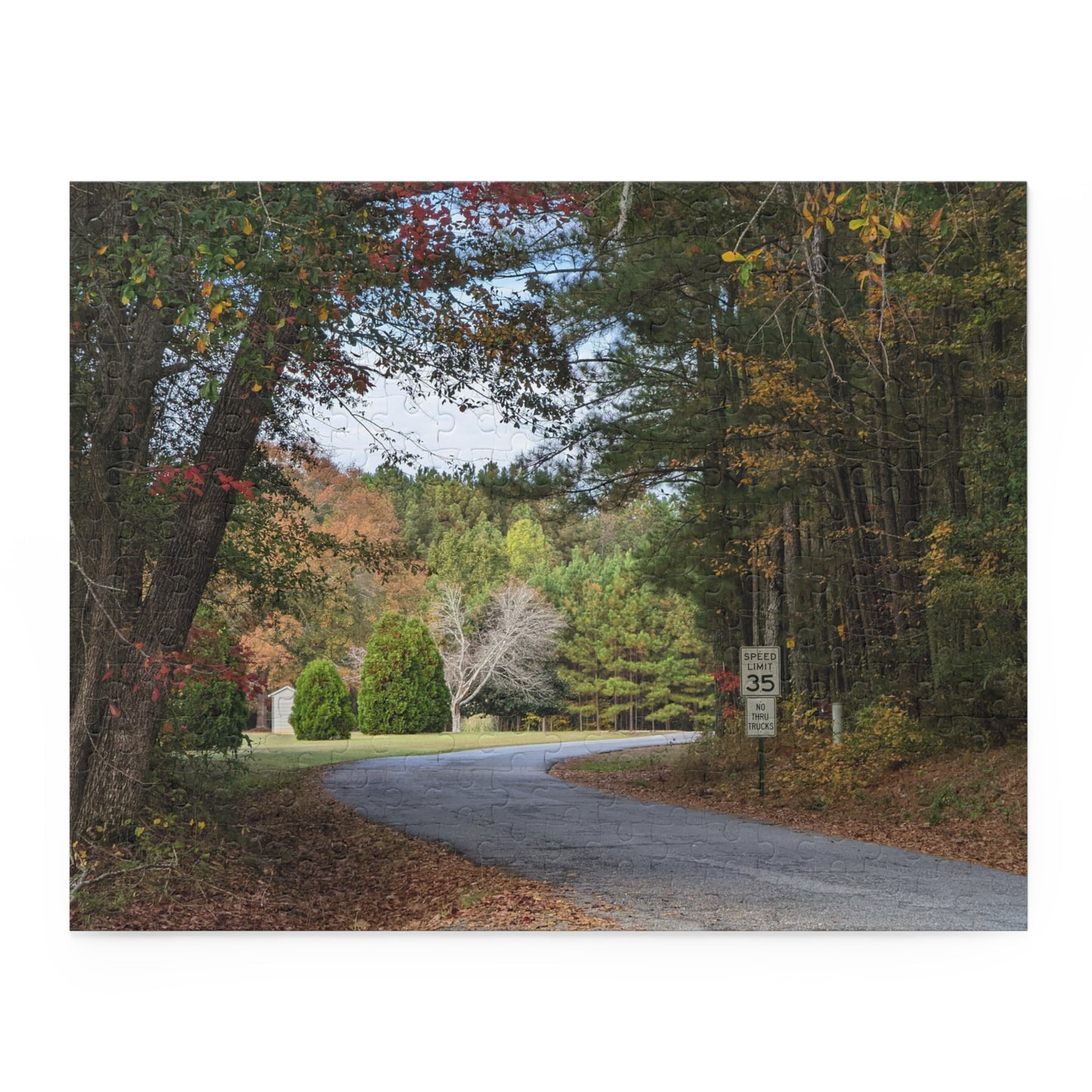 Monroe GA Puzzle October - 252 or 500 Piece