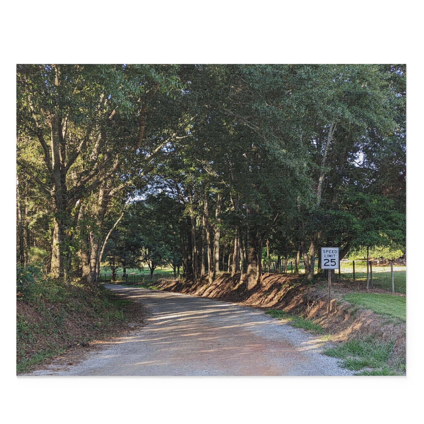 Monroe GA Puzzle August -  252 or 500 Piece