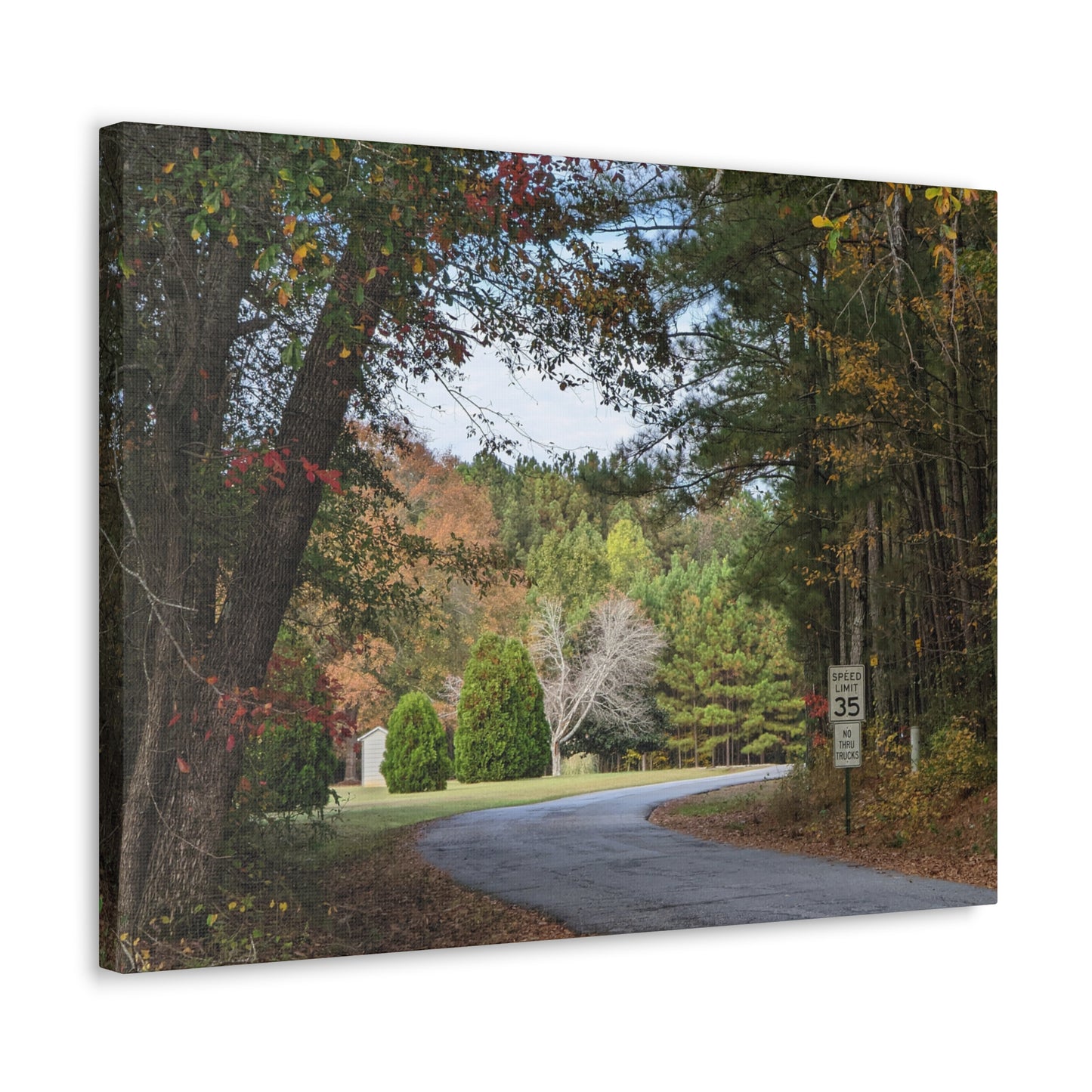 Monroe GA Wall Art Canvas October