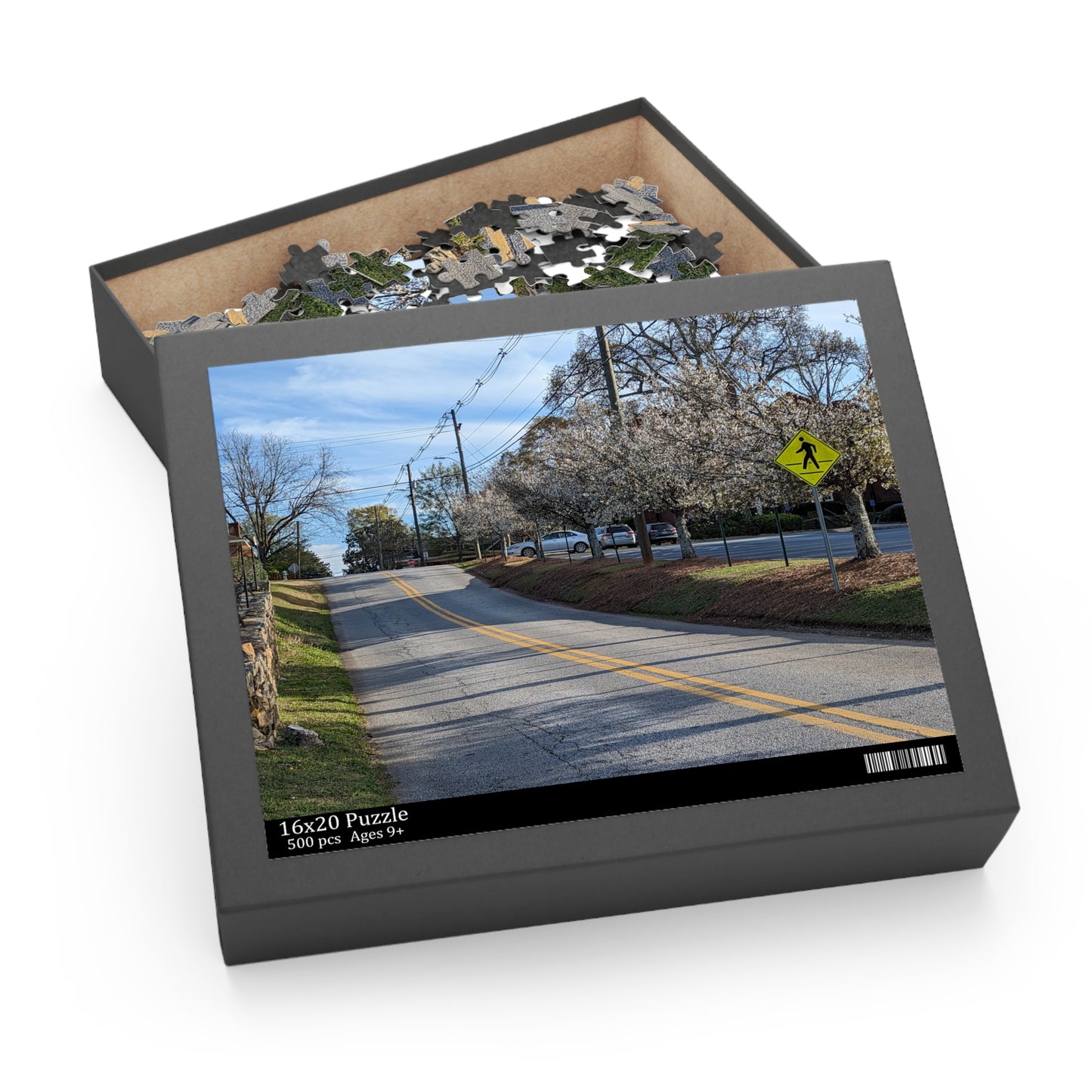 Monroe GA Puzzle March -  252 or 500 Piece