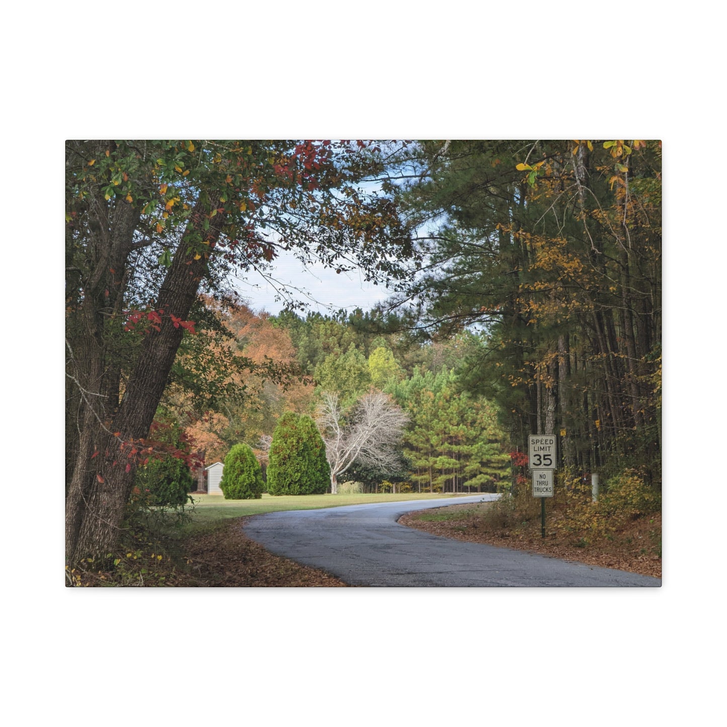 Monroe GA Wall Art Canvas October