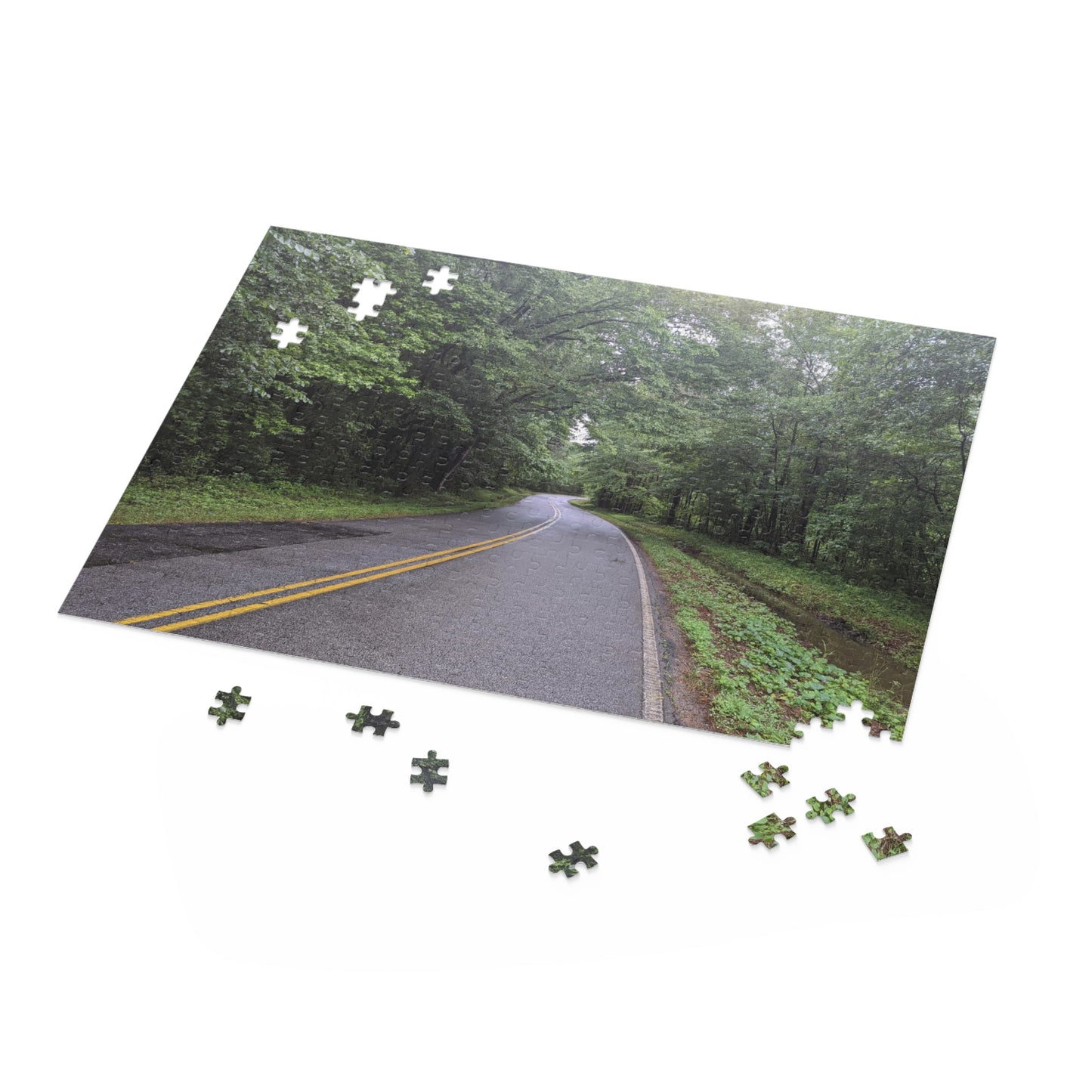 Monroe GA Puzzle April -  252 or 500 Piece