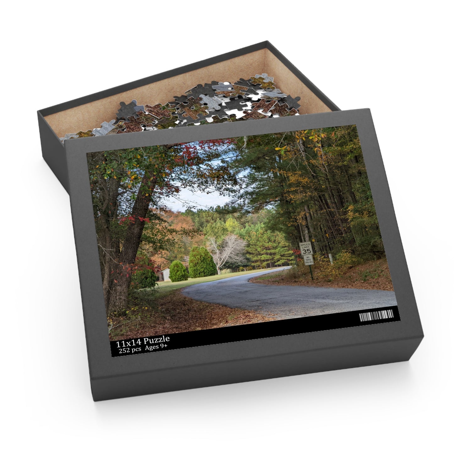 Monroe GA Puzzle October - 252 or 500 Piece