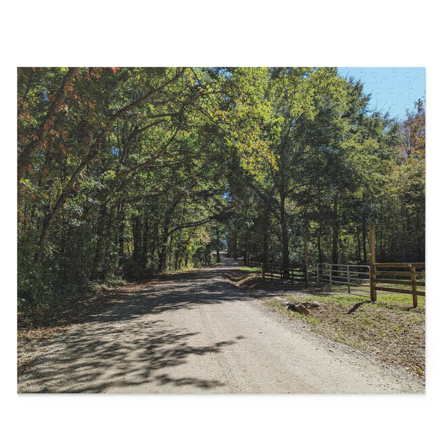 Monroe GA Puzzle September -  252 or 500 Piece