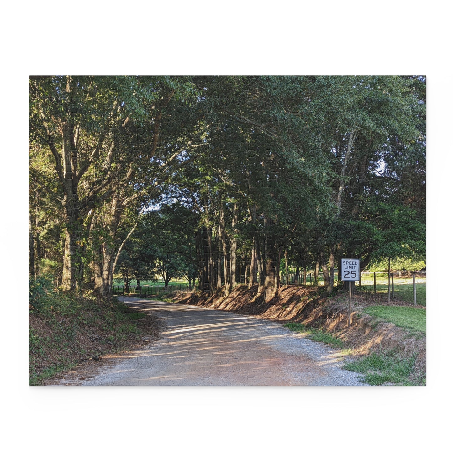 Monroe GA Puzzle August -  252 or 500 Piece