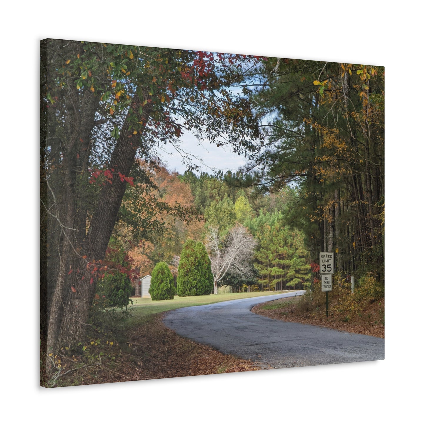 Monroe GA Wall Art Canvas October