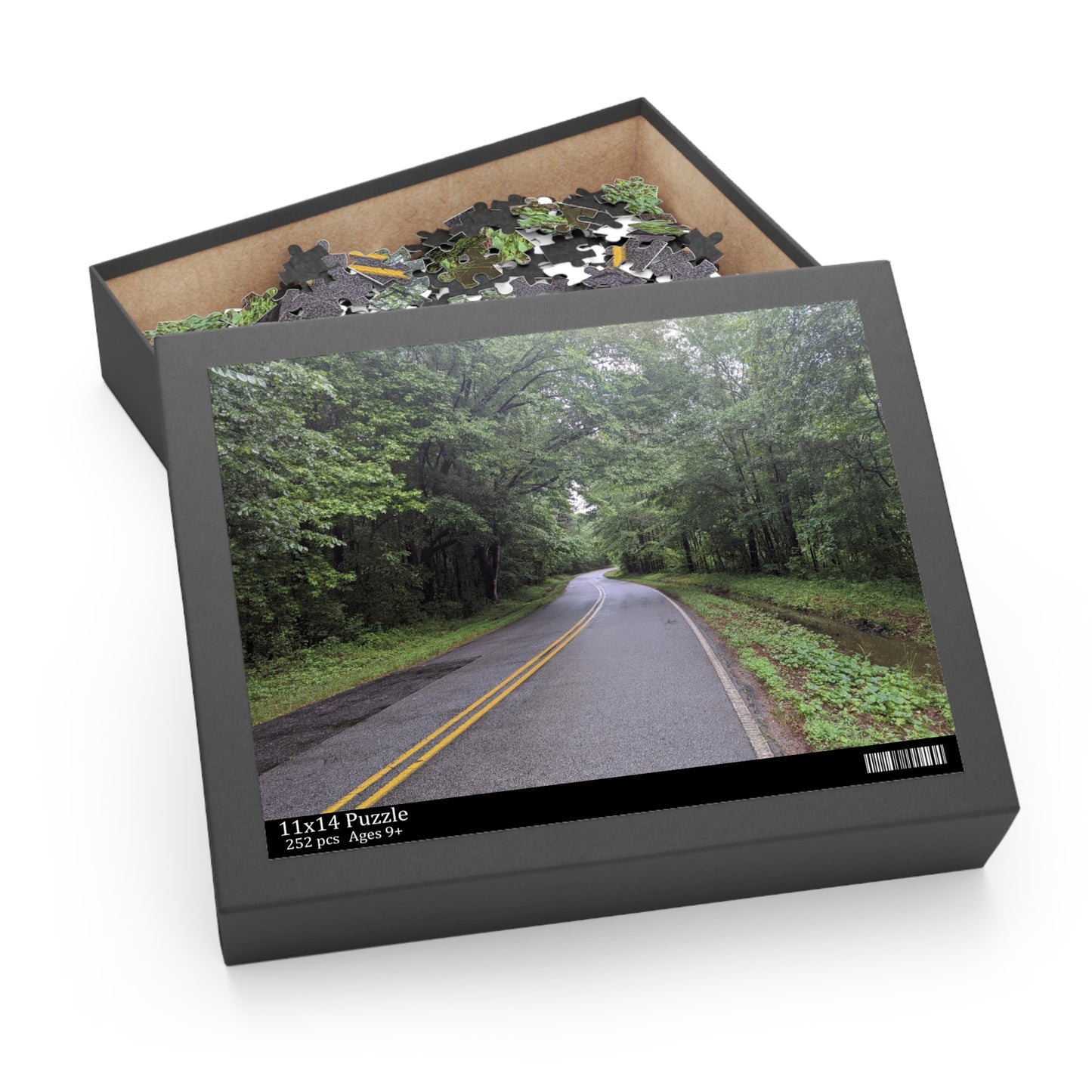 Monroe GA Puzzle April -  252 or 500 Piece