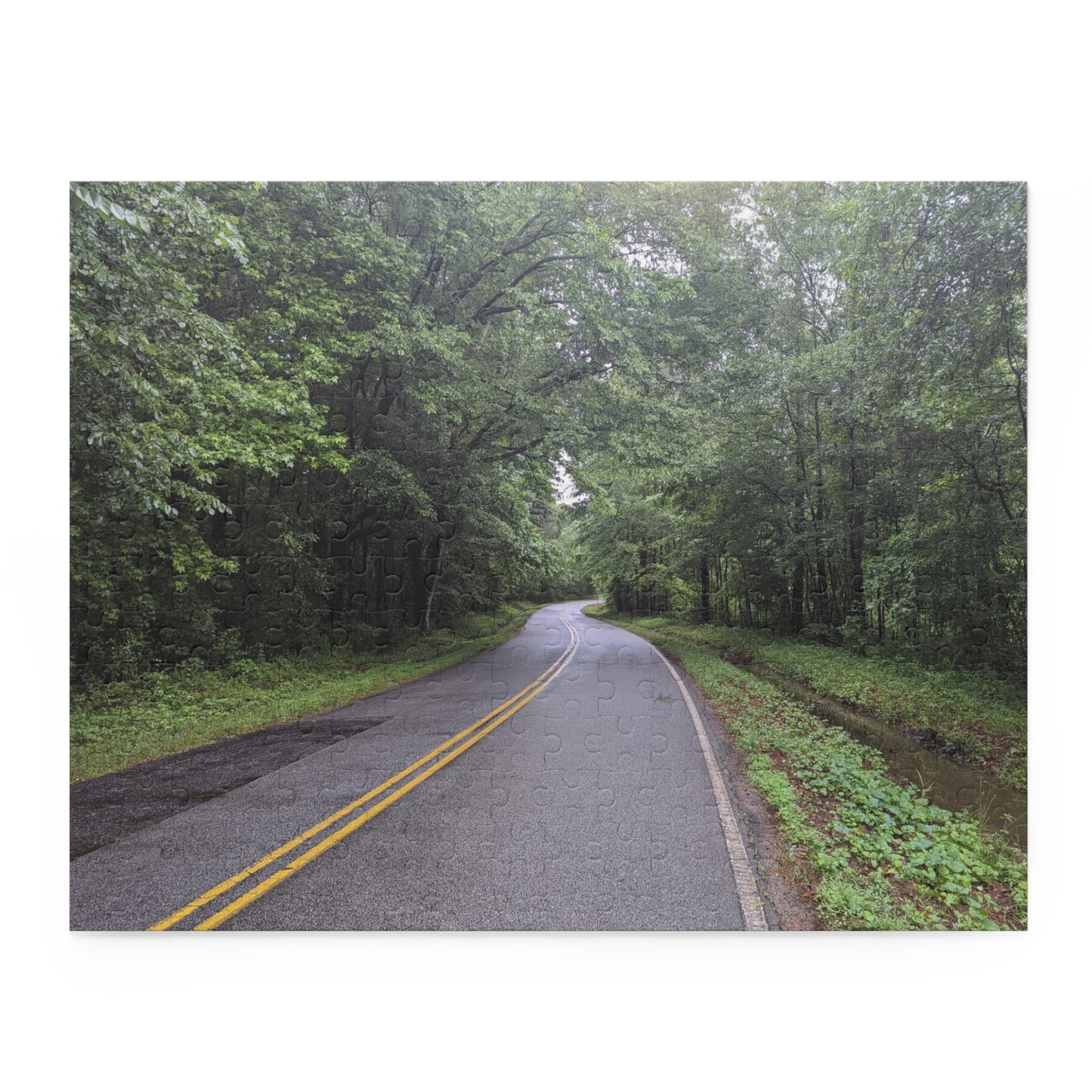 Monroe GA Puzzle April -  252 or 500 Piece