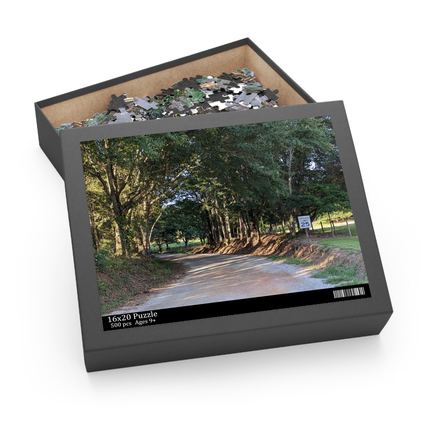 Monroe GA Puzzle August -  252 or 500 Piece