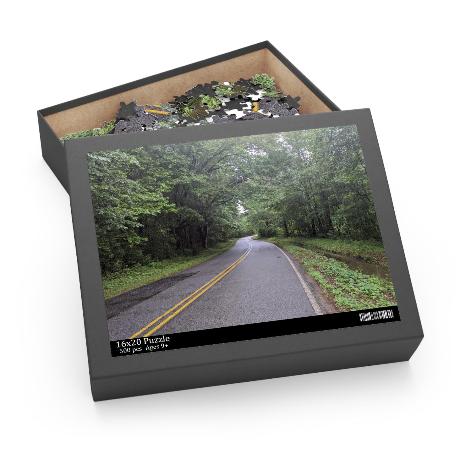 Monroe GA Puzzle April -  252 or 500 Piece