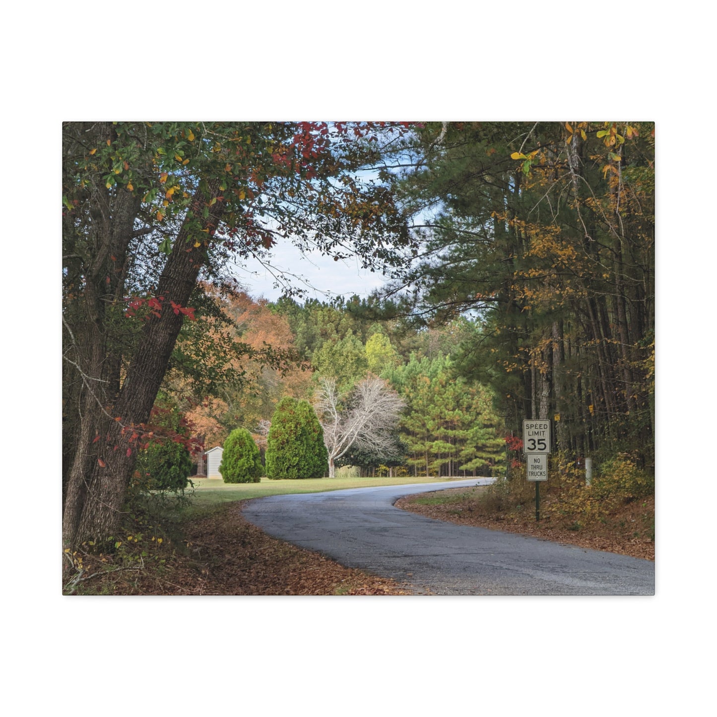 Monroe GA Wall Art Canvas October