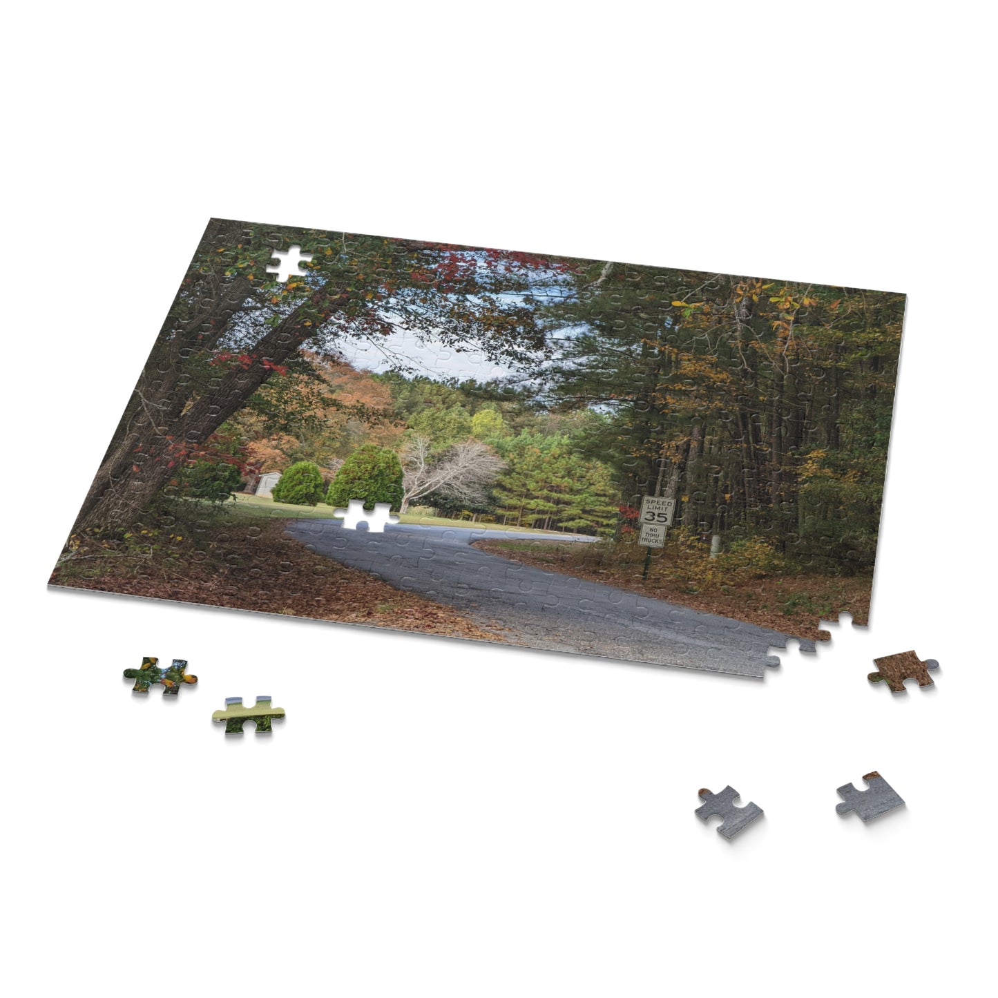 Monroe GA Puzzle October - 252 or 500 Piece