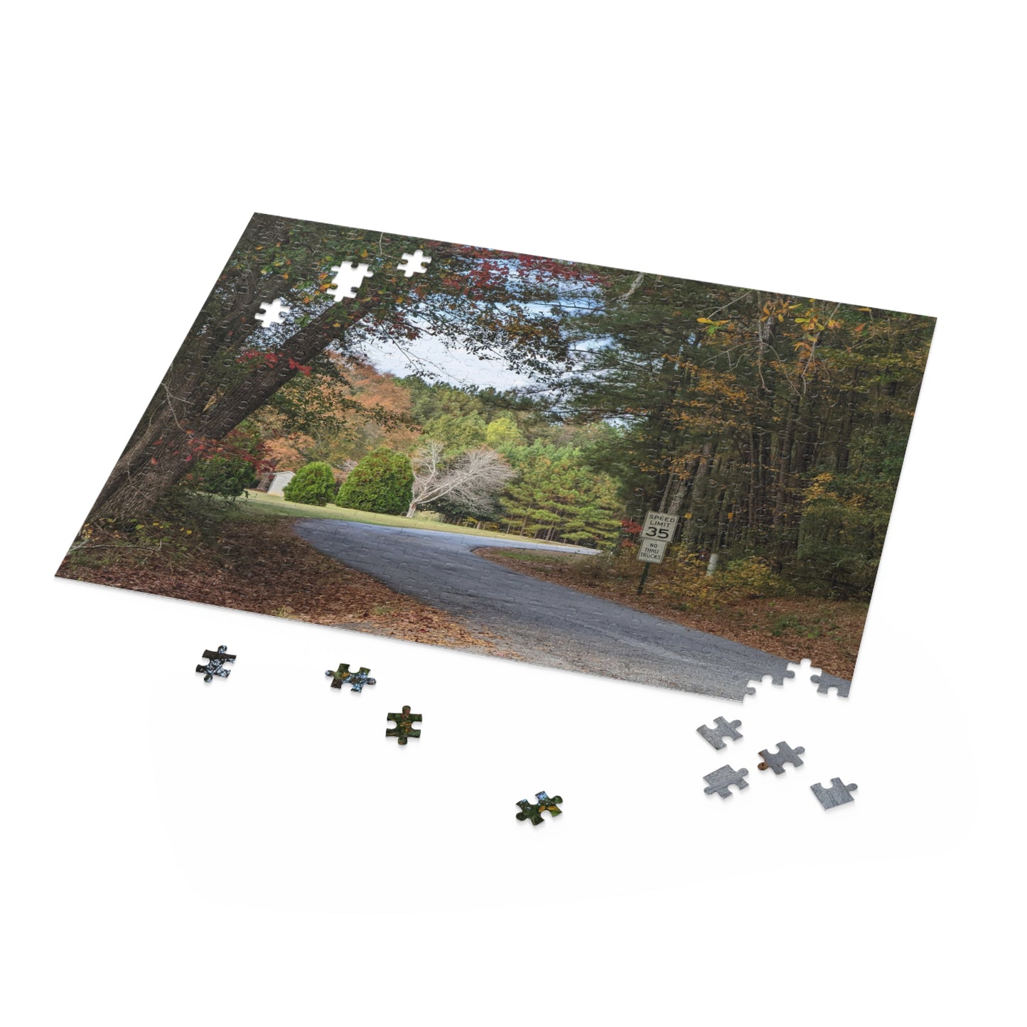 Monroe GA Puzzle October - 252 or 500 Piece