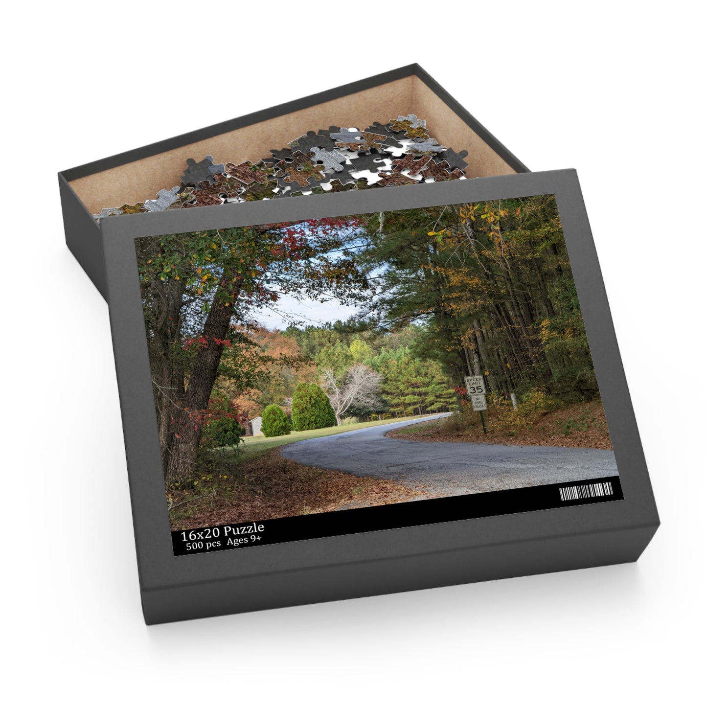 Monroe GA Puzzle October - 252 or 500 Piece