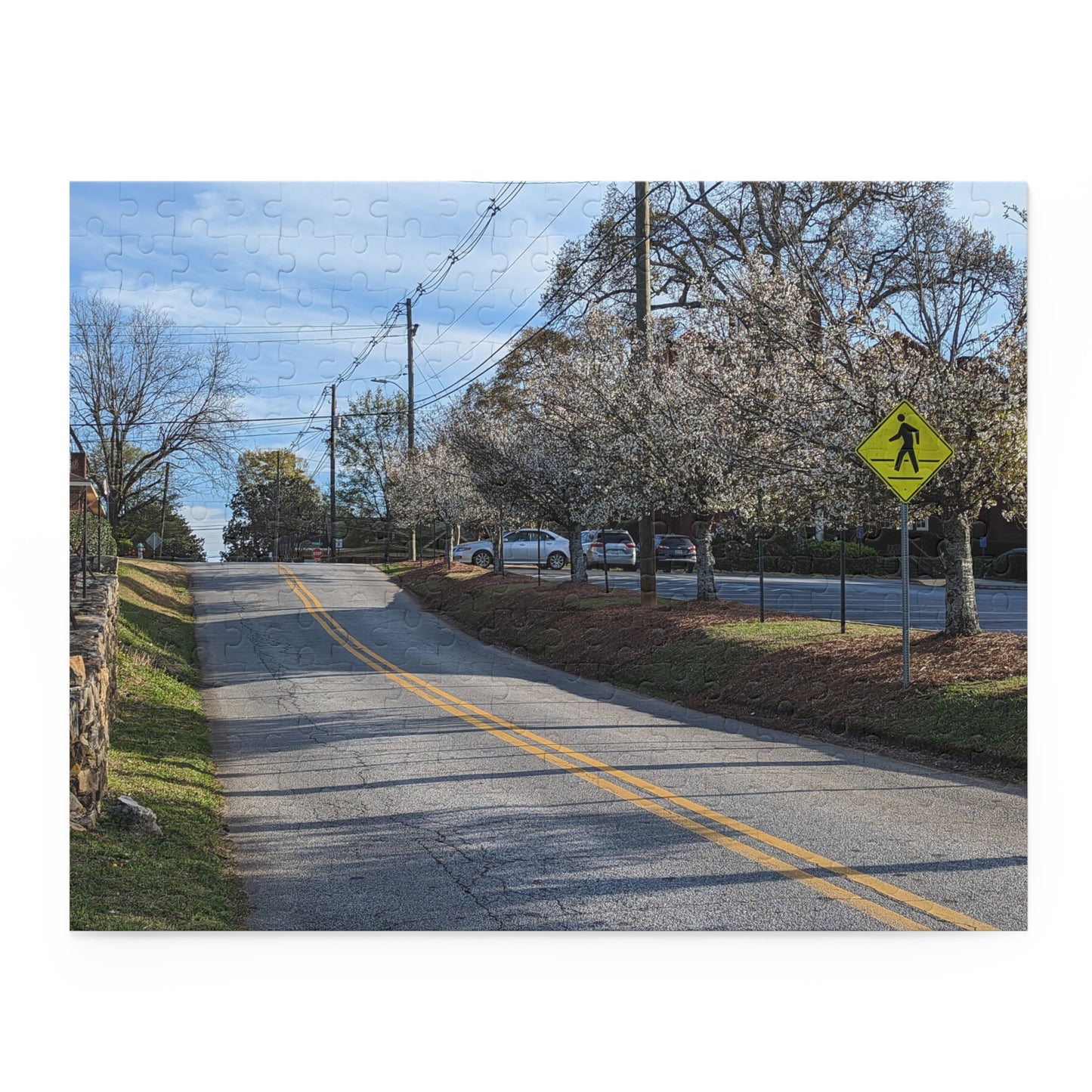 Monroe GA Puzzle March -  252 or 500 Piece