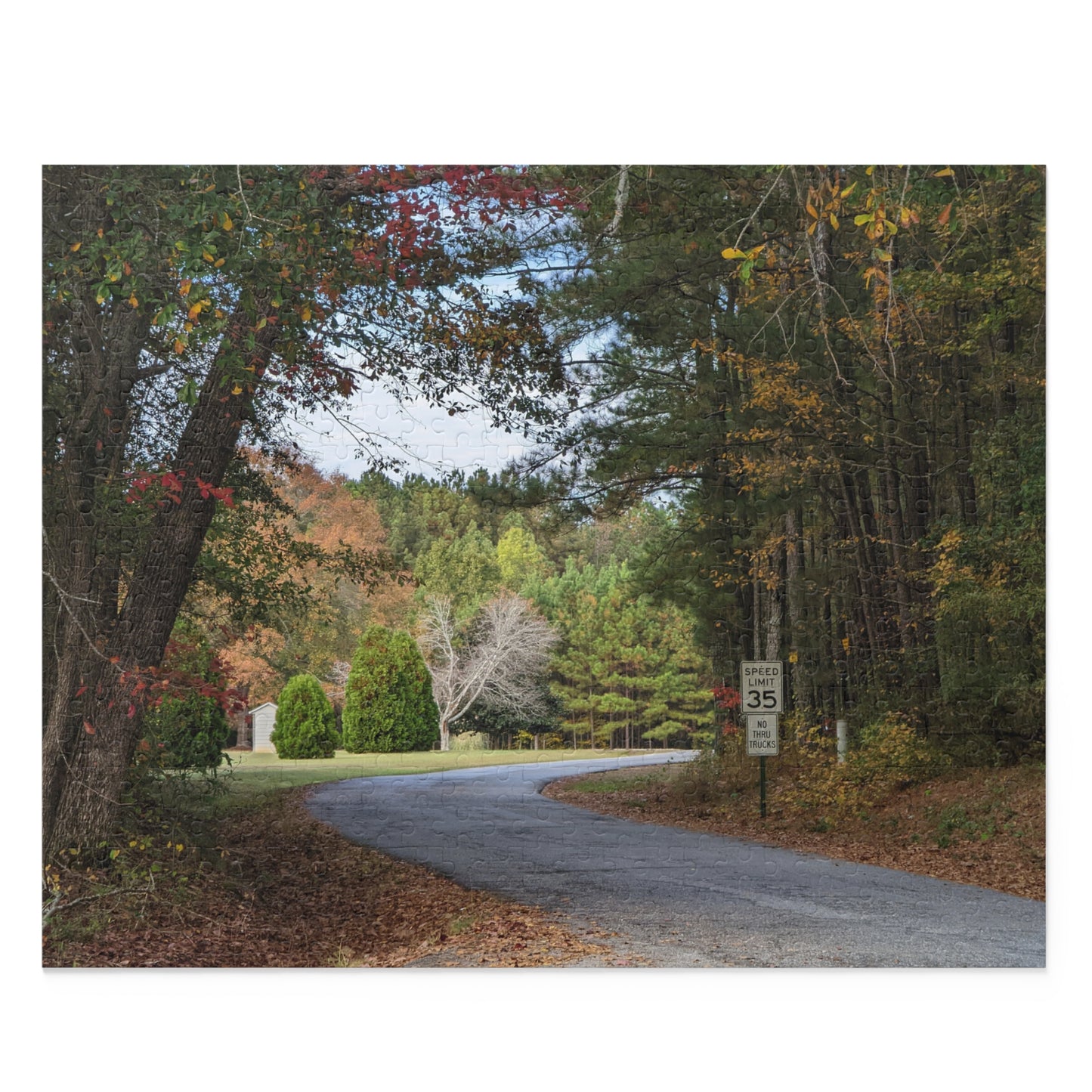 Monroe GA Puzzle October - 252 or 500 Piece