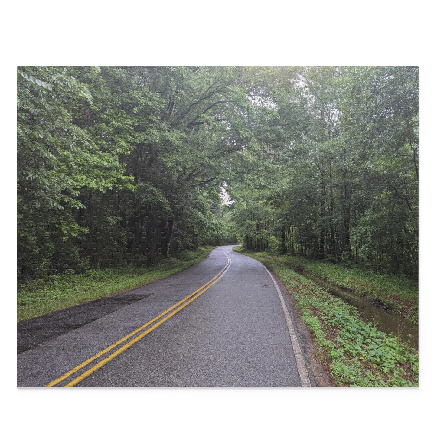 Monroe GA Puzzle April -  252 or 500 Piece