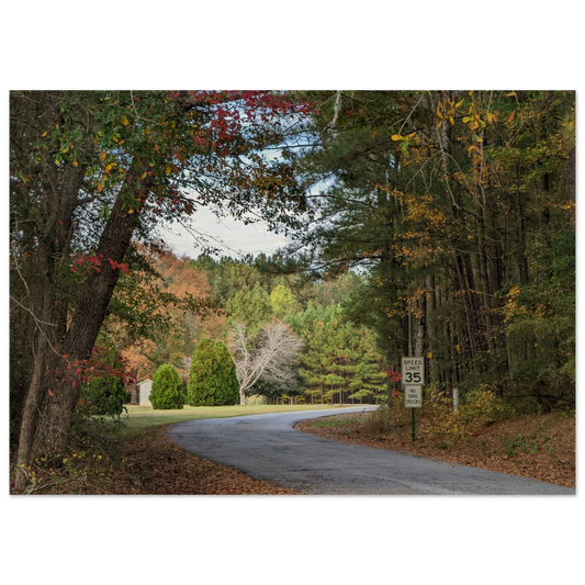 Monroe GA Wall Art Wooden Print October