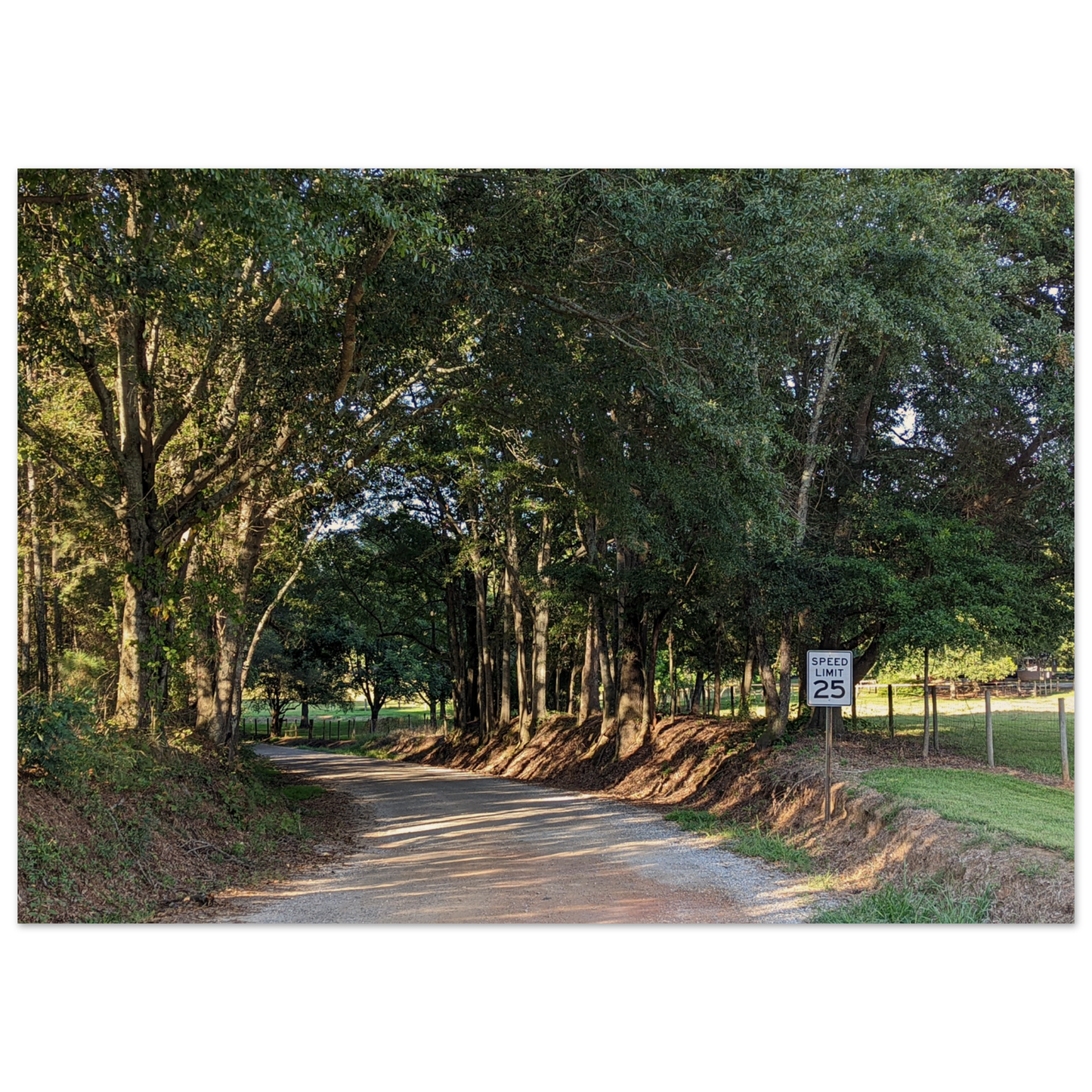 Monroe GA Wall Art Wooden Print August