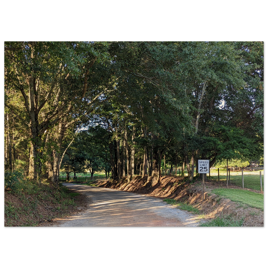 Monroe GA Wall Art Wooden Print August