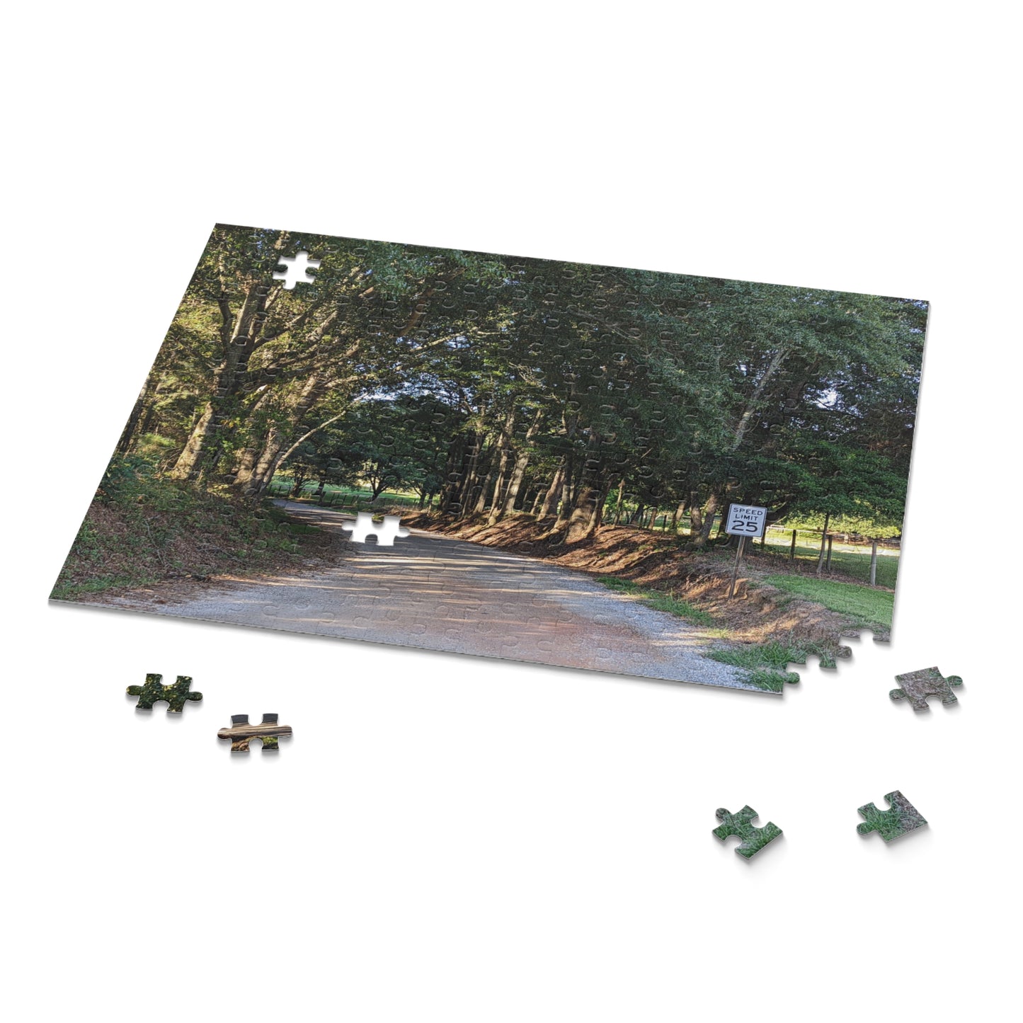 Monroe GA Puzzle August -  252 or 500 Piece