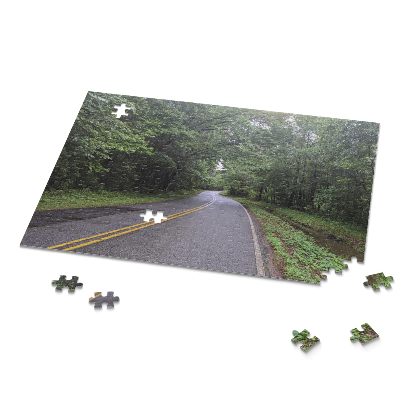 Monroe GA Puzzle April -  252 or 500 Piece