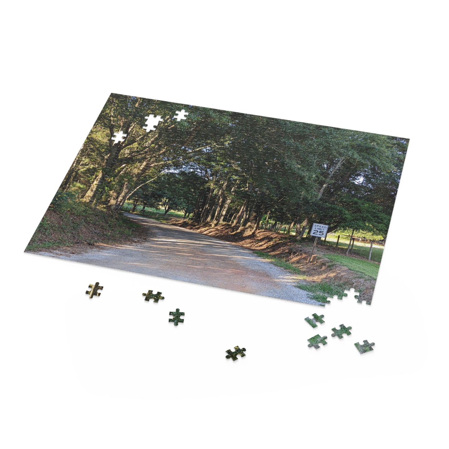 Monroe GA Puzzle August -  252 or 500 Piece